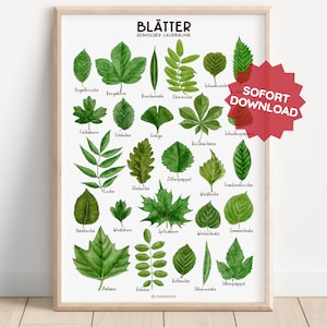 BLÄTTER POSTER heimische Laubbäume Wald Blatt Wandkunst Spielzimmer Montessori Aquarell Kind Wandbild DIY Deko Infografik Download deutsch