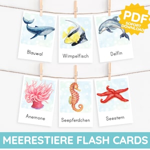 36 海洋動物 モンテッソーリ絵カード 学習カード 海洋動物 PDF テンプレート 印刷 子供 幼児 赤ちゃん デイケア 装飾 語彙 命名カード