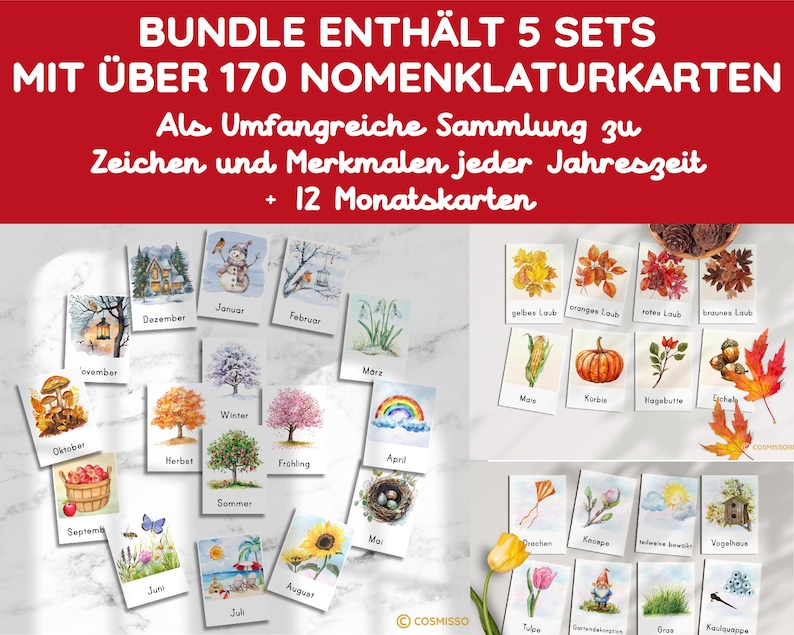 PICTURE CARDS BUNDLE 4 SEASONS Months Montessori Flash Cards Flash