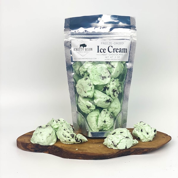 Freeze Dried Mint Chocolate Chip Ice Cream - Freeze Dried Ice Cream - Freeze Dried Candy - Freeze Dried Snacks - Fun Gift - Stocking Stuffer