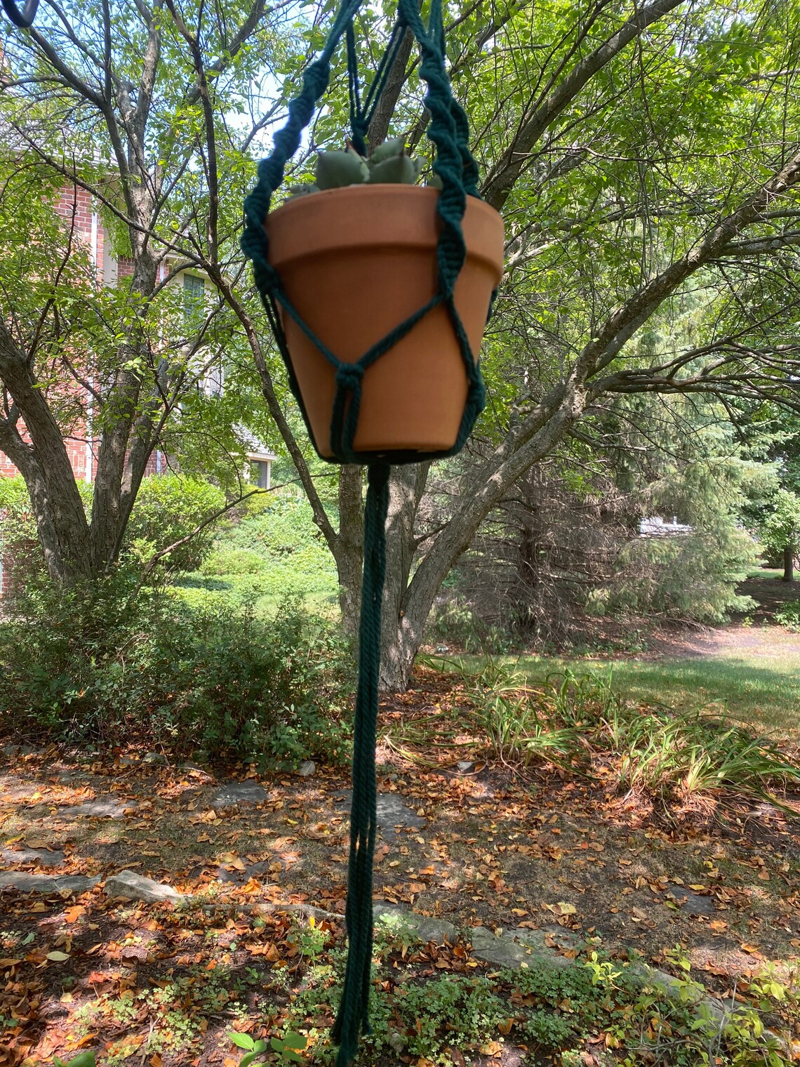 Bird Cage Plant Hanger Forest Green Handmade Etsy