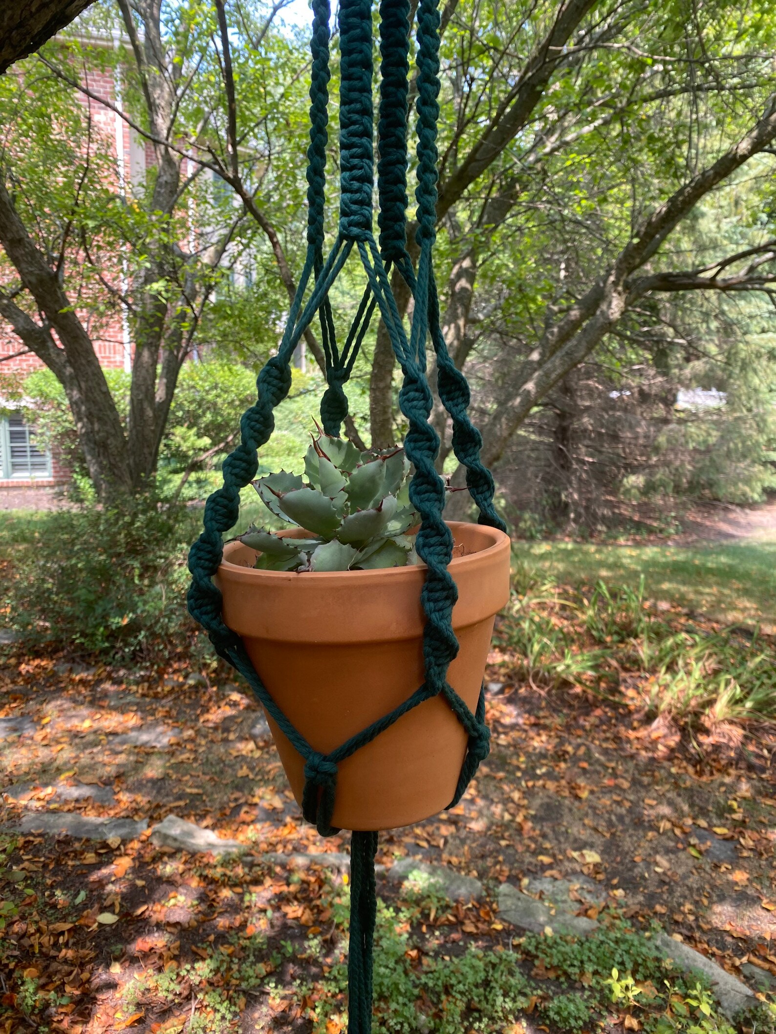 Bird Cage Plant Hanger Forest Green Handmade Etsy