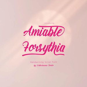 May include: Pink graphic design featuring the words "Amiable Forsythia" in a handwritten script font. The text "introducing" is above the main text, and "Handwriting Script Font by Letterhanna Studio" is below.