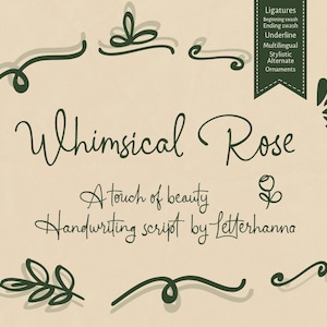 Op de afbeelding: Op een beige achtergrond staat het woord "Whimsical Rose" in een vloeiend schrift, met de tekst "A touch of beauty" en "Handwriting script by Letterhanna" eronder. Donkergroene krullen en een banner met lettertypekenmerken omringen de tekst.