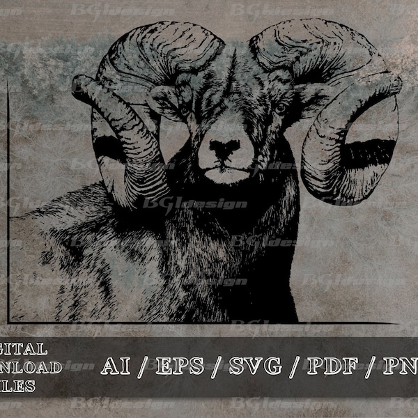 Bighorn Ram 7 vector eps / ai / svg / pdf / png Bighorn Sheep silhouette