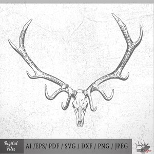 Elk Skull - Etsy