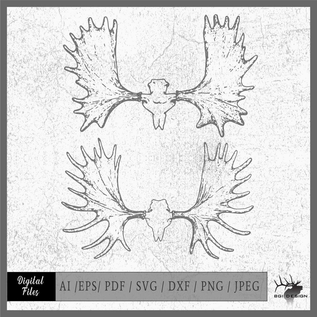 Moose Skull 2 Vector Eps / Ai / Svg / Png - Etsy
