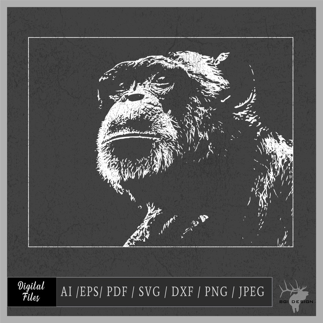 Ape Vector Eps / Ai / Pdf / Png / Jpeg Monkey - Etsy