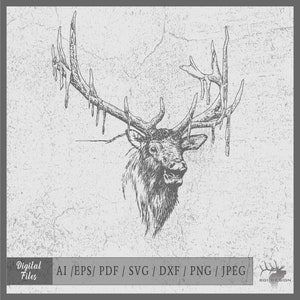 Elk Bull 5 vector eps / ai / svg / pdf / dxf / png / jpeg Bull Elk