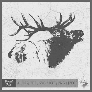 Bugling Elk vector eps / ai / svg / png Bull Elk