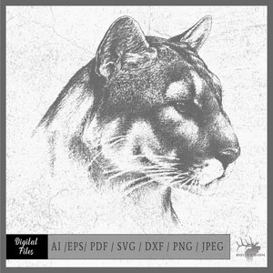 Cougar vector eps / ai / svg / png Mountain Lion
