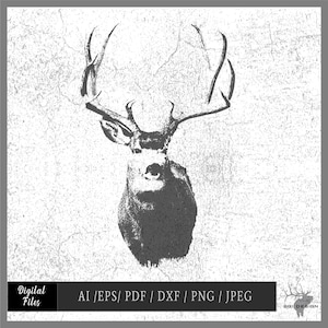 Big Mulie 62s Vektor eps / ai / pdf / dxf / png / jpeg Buck Silhouette