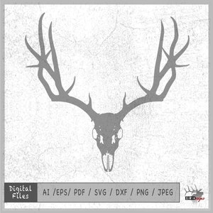 Hirsch Schädel 3 Vektor eps / ai / pdf / dxf / svg / png / jpeg Bock Silhouette