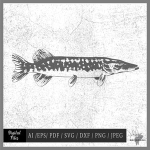 Pike 567D vector eps / ai / svg / dxf / jpeg / pdf / png Fish Fishing