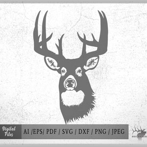 Weißwedel Büste Buck Vektor eps / ai / pdf / svg / png / jpeg Buck Silhouette