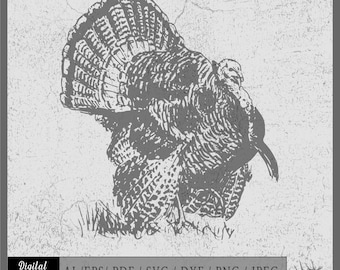 Turkey 3 vector eps / ai / svg / png Turkey silhouette
