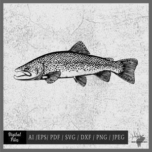 Brown Trout 012 vector eps / ai / pdf / dxf / svg / png / jpeg Fish Fishing