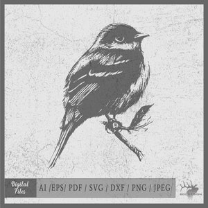 Pájaro 1 vector eps / ai / svg / dxf / pdf / png / jpeg Tweety