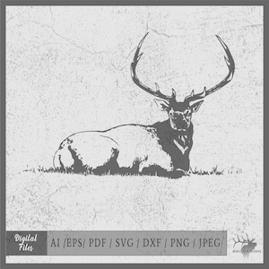 Elk Bull 6 vector eps / ai / svg / pdf / dxf / png / jpeg Bull Elk