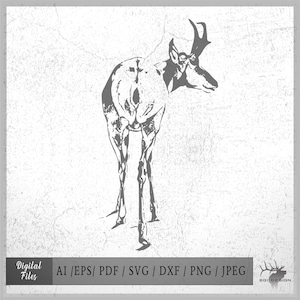 Pronghorn 6640 vector eps / ai / svg / pdf / dxf / png / jpeg Antelope Buck