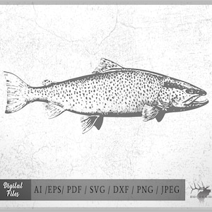 Fishing 3 vector eps / ai / svg / png Fish Fishing