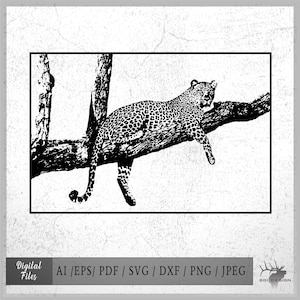 Leopard 12 vector eps / ai / svg / png Wild Cat