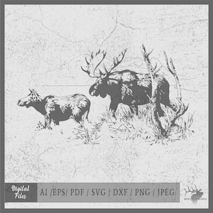 Moose 6 vector eps / ai / svg / pdf / png / jpeg