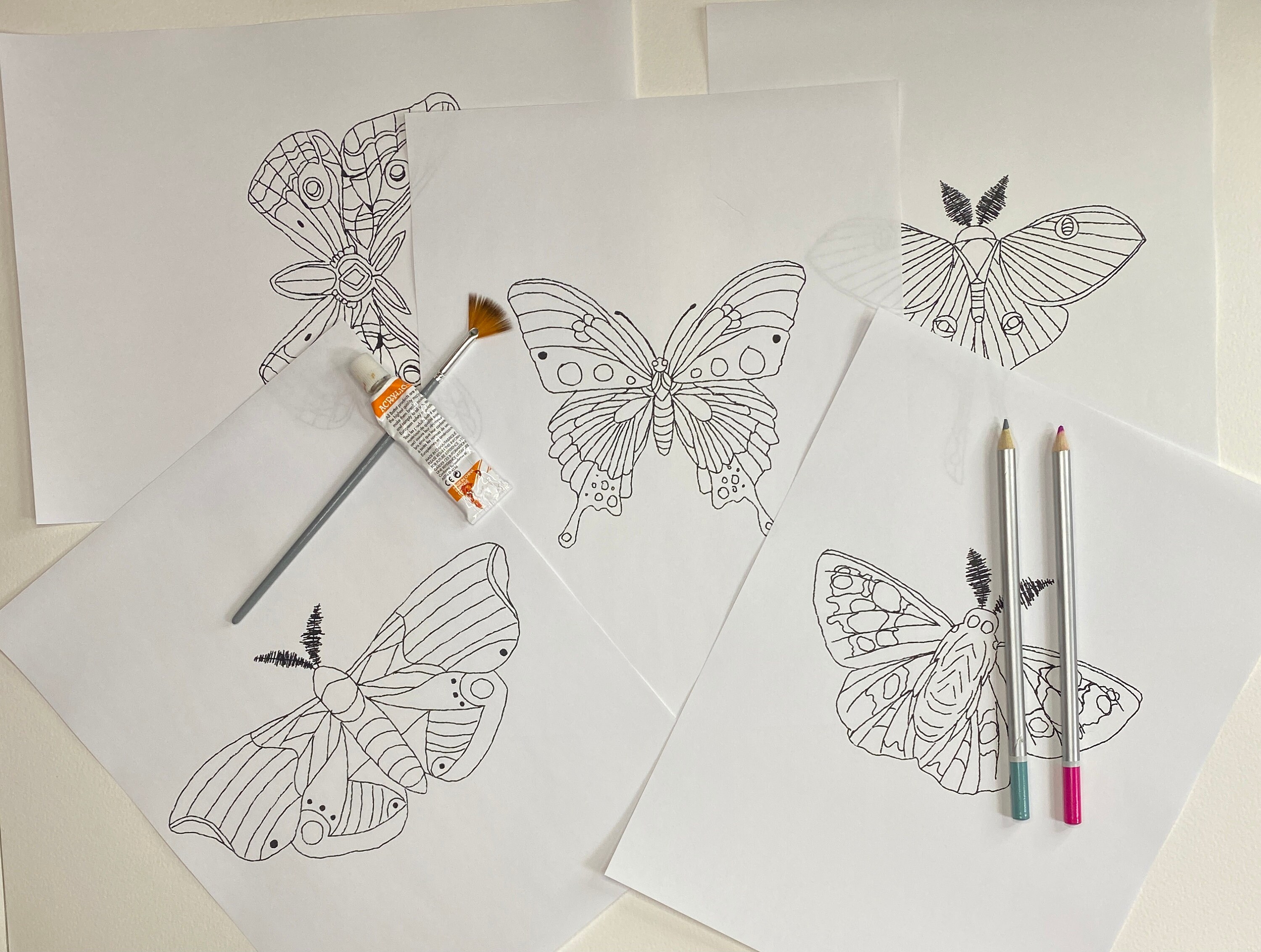 Butterfly Set II Etsy