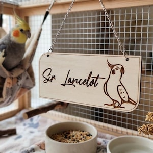Può includere: Un cartello di legno con il nome "Sir Lancelot" e un'illustrazione di uccello è appeso in una gabbia. Un calopsitta grigio e giallo riposa in un'amaca. Due ciotole di ceramica sono sotto, una piena di semi.