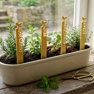 Op de afbeelding: Een rechthoekige, crèmekleurige plantenbak gevuld met aarde en diverse kruiden, waaronder rozemarijn, munt, aardbei en tijm. Goudkleurige plantenlabels markeren elk kruid. Een gouden schaar en een takje munt liggen op het houten oppervlak.