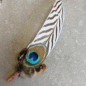 Puede incluir: Una pluma rayada blanca y marrón con un ojo de pavo real en la base. La pluma está unida a un alambre de cobre.