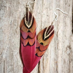 May include: A pair of feather earrings with silver hooks. The earrings feature vibrant red, orange, and brown feathers. The feathers are layered, creating a textured appearance. The earrings are displayed against a rustic wooden background.