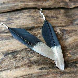 Boucles d'oreilles plumes d'oiseau Huia de Nouvelle-Zélande.
