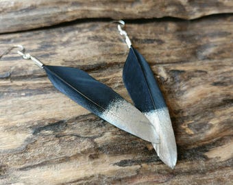 New Zealand Huia Bird Feather Earrings.