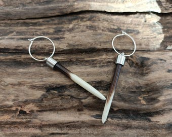 Silver Porcupine Quill Earrings With Hoops.