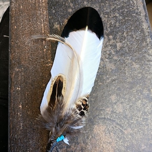 May include: A white and black feather with brown and black markings. The feather is tied with a turquoise string.
