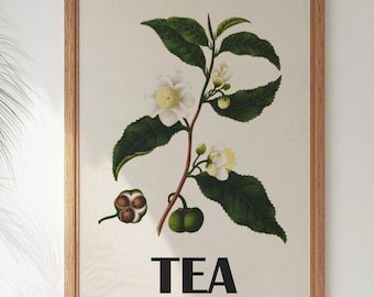 Vintage Tea poster, Botanical tea plant print