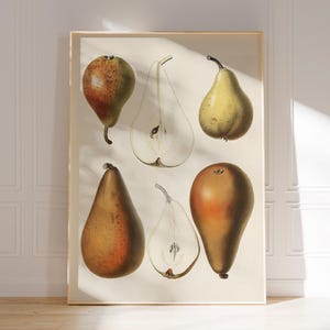 Poster di pere, stampa di frutta, arte murale per la cucina, arte culinaria vintage
