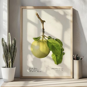 Poster con mela verde, stampa di frutta, decorazione da parete per cucina
