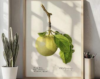 Green apple poster, Fruit print, kitchen wall art
