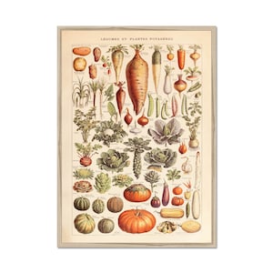 Cartel de verduras, impresión Adolphe Millot