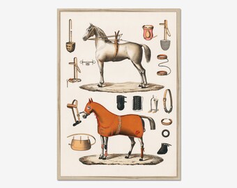 Horse poster, horseback riding print