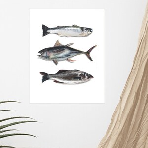 Fische Bleistift Zeichnung Ozean Wasser See Lachs Tuna Meer Bass Tier Wand Kunst Druck Matte Papier Poster