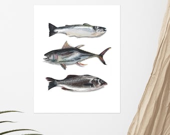 Fish Pencil Drawing Ocean Water Lake Salmon Tuna Sea Bass Wildlife Animal Wall Art Print Matte Paper Poster