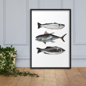 Fish Pencil Drawing Ocean Water Lake Salmon Atún Sea Bass Wildlife Animal Wall Art Print Framed Matte Paper Poster