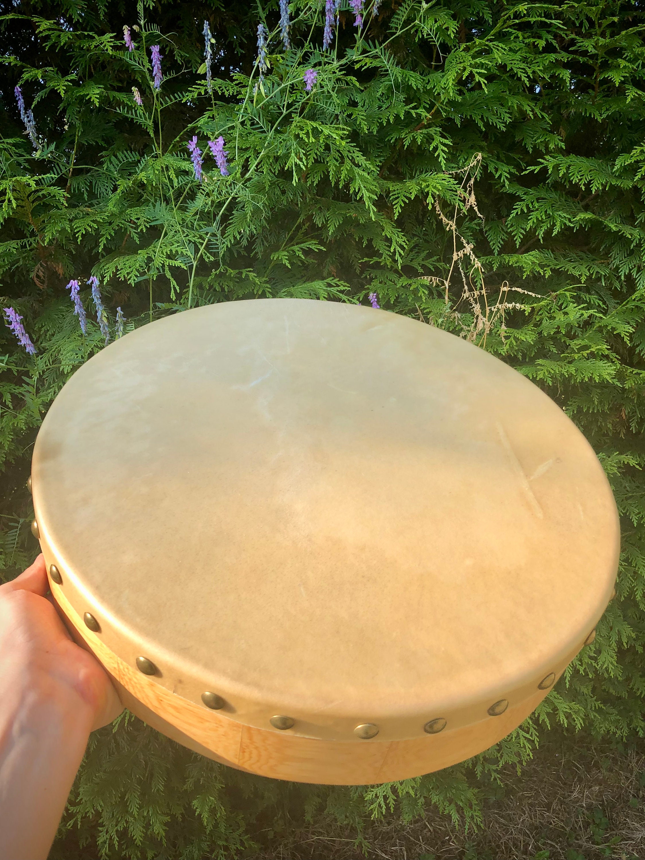 Irish Drums Wild Irish Drum/Bodhrán Etsy
