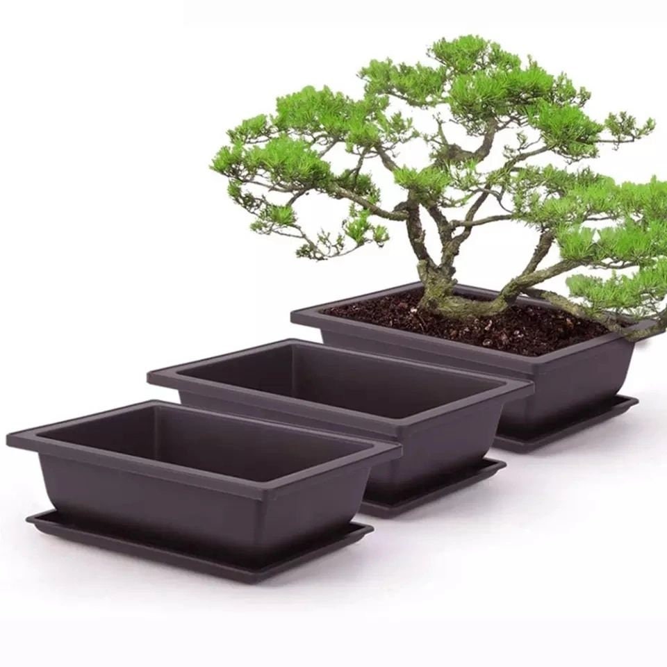 Bonsai Pot With Humidity Drip Tray Etsy