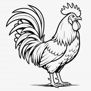 Puede incluir: Ilustración en blanco y negro de un gallo de pie. El gallo tiene una cresta, barbilla y plumas de la cola detalladas. La imagen es un dibujo lineal, centrado en la forma y las características del ave.