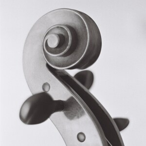 May include: Close-up of the scroll of a cello, showing the intricate details of the wood and the tuning pegs.