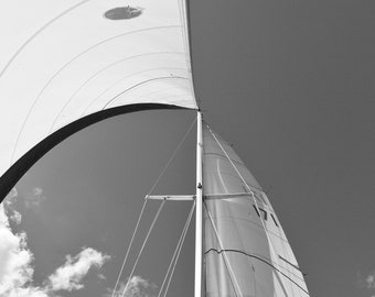 Black and White Photography, "Wing On Wing", 35mm, Photo Print, Home Decor, Sailing, wall art